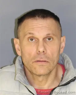 Mugshot of MARK STEIN booked in Essex County, New Jersey on March 25, 2026