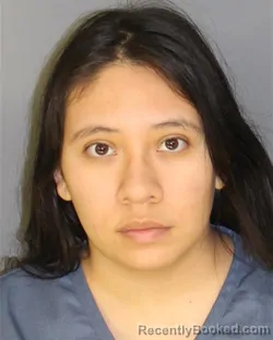 Mugshot of LIZ ARVELO booked in Essex County, New Jersey on March 26, 2026