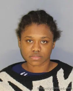 Mugshot of VIERGENICA RAYMOND booked in Essex County, New Jersey on March 27, 2026