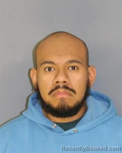 Mugshot of ALEXIS DELALUZ booked in Essex County, New Jersey on March 28, 2026