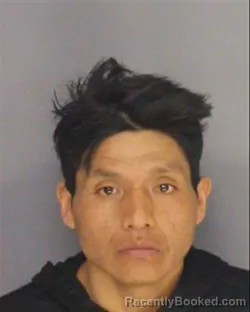 Mugshot of LUIS F MINIGUANO booked in Essex County, New Jersey on March 29, 2026