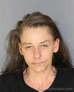 Mugshot of MICHELE C ARORA booked in Essex County, New Jersey on March 29, 2026