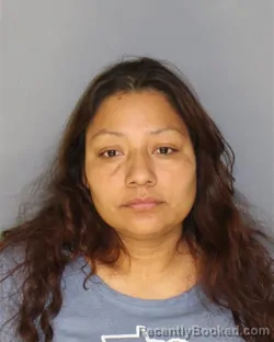 Mugshot of CECILIA AMPEREZ GONZALES booked in Essex County, New Jersey on March 30, 2026