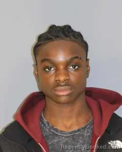 Mugshot of SYDNEY CARRINGTON booked in Essex County, New Jersey on March 30, 2026