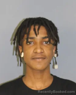 Mugshot of TILLERY ZAHIER booked in Essex County, New Jersey on March 30, 2026