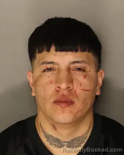 Mugshot of GEOVANNY CABRERA booked in Essex County, New Jersey on March 31, 2026