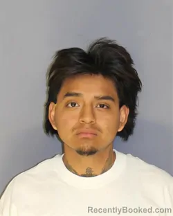 Mugshot of JORGE LEMAPAGUAY