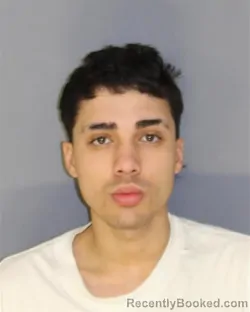 Mugshot of JOSEPH PABONAVAREZ