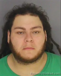 Mugshot of NELSON CASTELLON