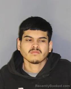 Mugshot of EDWIN J PADILLAHERNANDEZ booked in Essex County, New Jersey on April 7, 2026