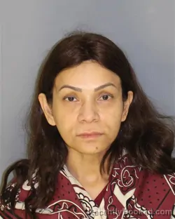 Mugshot of NAZNEEN A CHOWDHURY booked in Essex County, New Jersey on April 7, 2026