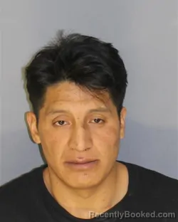 Mugshot of JORGE TENEMZA booked in Essex County, New Jersey on April 25, 2026