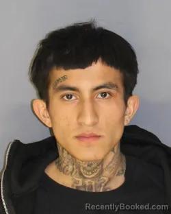 Mugshot of MERLIN RODRIGUEZ booked in Essex County, New Jersey on April 29, 2026