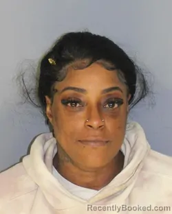 Mugshot of SHANICE L MATHIS booked in Essex County, New Jersey on April 29, 2026