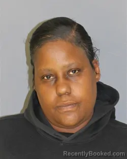 Mugshot of SHAKEKA L LOVE booked in Essex County, New Jersey on April 29, 2026