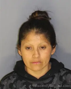 Mugshot of JESSICA LUMBI booked in Essex County, New Jersey on May 3, 2026