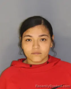 Mugshot of SAMANTHA M RODRIGUEZ booked in Essex County, New Jersey on May 8, 2026