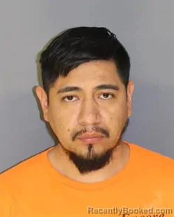 Mugshot of MARCO PALAGUACHIRODRIGUEZ booked in Essex County, New Jersey on May 9, 2026