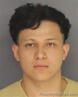 Mugshot of NIXON GRIJALVA CARREA booked in Essex County, New Jersey on May 13, 2026
