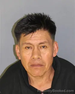 Mugshot of JUAN B BUENOCORTE booked in Essex County, New Jersey on May 16, 2026