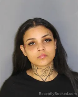 Mugshot of ANGELINA M ESPOSITO booked in Essex County, New Jersey on May 16, 2026