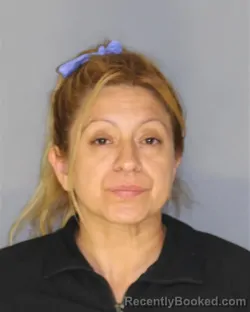 Mugshot of IVANA L LLANEZA booked in Essex County, New Jersey on May 17, 2026