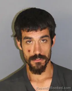 Mugshot of Robert Villa