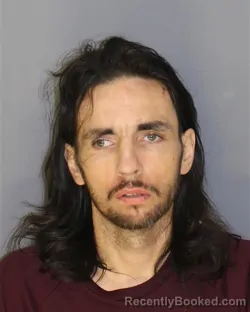Mugshot of EDWARD F SHEEHAN booked in Essex County, New Jersey on June 12, 2026