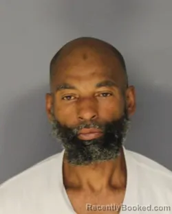 Mugshot of Derrick D Williams