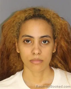 Mugshot of LIZ A ARTILES booked in Essex County, New Jersey on June 27, 2026