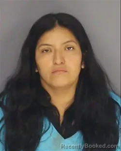 Mugshot of ESTEFANIA A QUIGUIRRIYASACA booked in Essex County, New Jersey on June 28, 2026