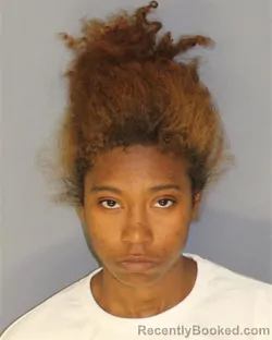 Mugshot of JASMINE DUDLEY booked in Essex County, New Jersey on July 2, 2026