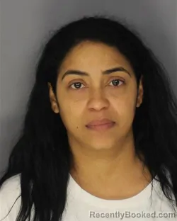 Mugshot of RAMONA N SANTOSSANTIAGO booked in Essex County, New Jersey on July 3, 2026