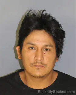 Mugshot of MAURICIO G PALAGUACHILOZADO booked in Essex County, New Jersey on July 7, 2026