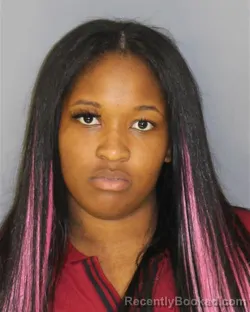 Mugshot of MELISHA S BRUTON booked in Essex County, New Jersey on July 9, 2026