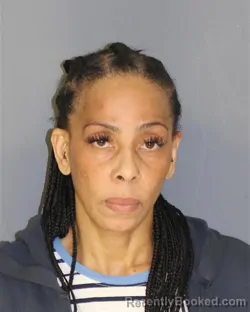 Mugshot of KEISHA E WILSON-STEPHENS booked in Essex County, New Jersey on July 9, 2026