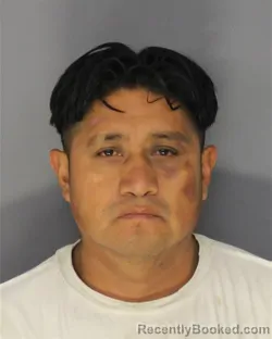 Mugshot of ALVARO LORENZOHERNANDEZ booked in Essex County, New Jersey on July 10, 2026