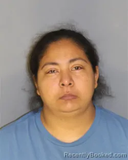 Mugshot of NADIA C PAZECHEVERRIA booked in Essex County, New Jersey on July 11, 2026