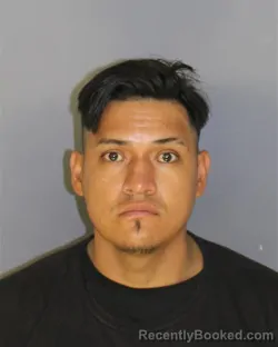 Mugshot of JEFFERSON PARRA-CEDILLO booked in Essex County, New Jersey on August 2, 2026
