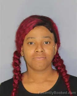 Mugshot of Danielle S Monroe booked in Essex County, New Jersey on August 15, 2026