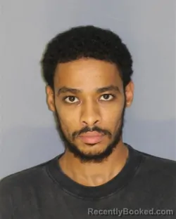 Mugshot of Kibret Meles booked in Essex County, New Jersey on August 15, 2026