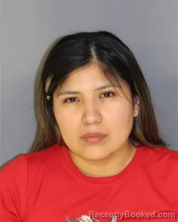 Mugshot of Valerie Torres-Aronez booked in Essex County, New Jersey on August 16, 2026