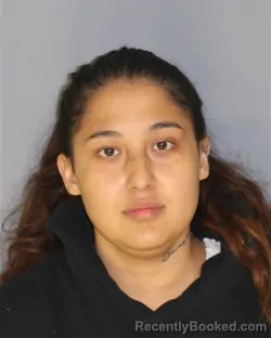 Mugshot of Ecila L Ruiz booked in Essex County, New Jersey on August 18, 2026