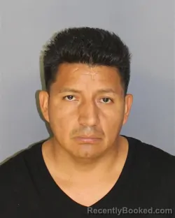 Mugshot of Jose Lojacaguana booked in Essex County, New Jersey on August 22, 2026