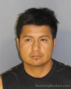 Mugshot of Ermel B Paqui Gonzalez booked in Essex County, New Jersey on August 26, 2026