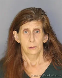 Mugshot of Kathleen Sullivan booked in Essex County, New Jersey on August 26, 2026