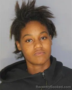 Mugshot of Janae L Haynes booked in Essex County, New Jersey on August 27, 2026