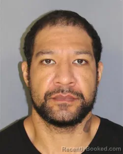 Mugshot of Giordano Cerrano booked in Essex County, New Jersey on August 28, 2026