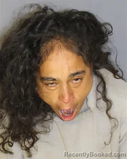 Mugshot of Magda Vazquez booked in Essex County, New Jersey on August 29, 2026