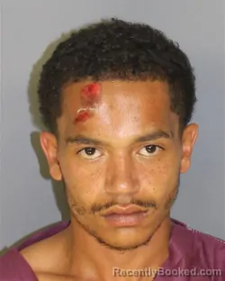 Booking photo from Essex County, New Jersey